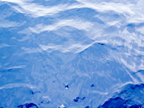 Ultramarine is the color of the Gulf Stream.