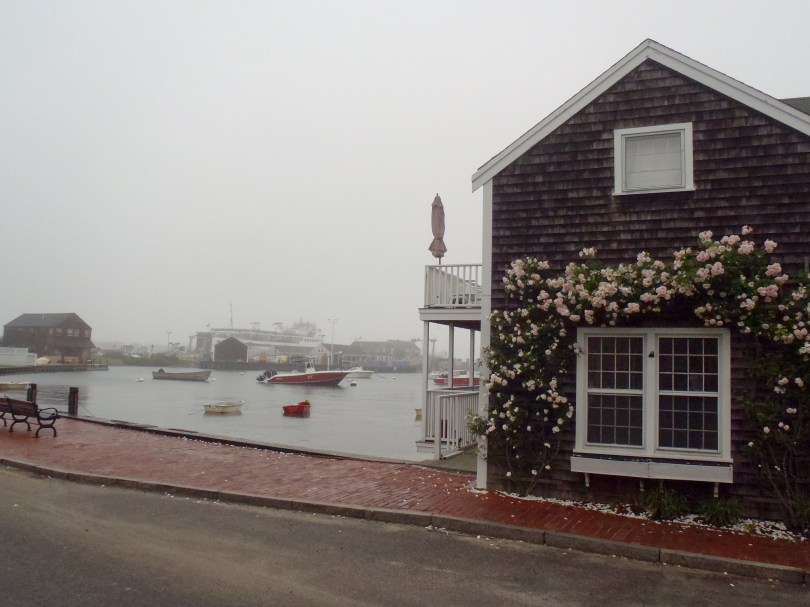 Rose trellis Nantucket