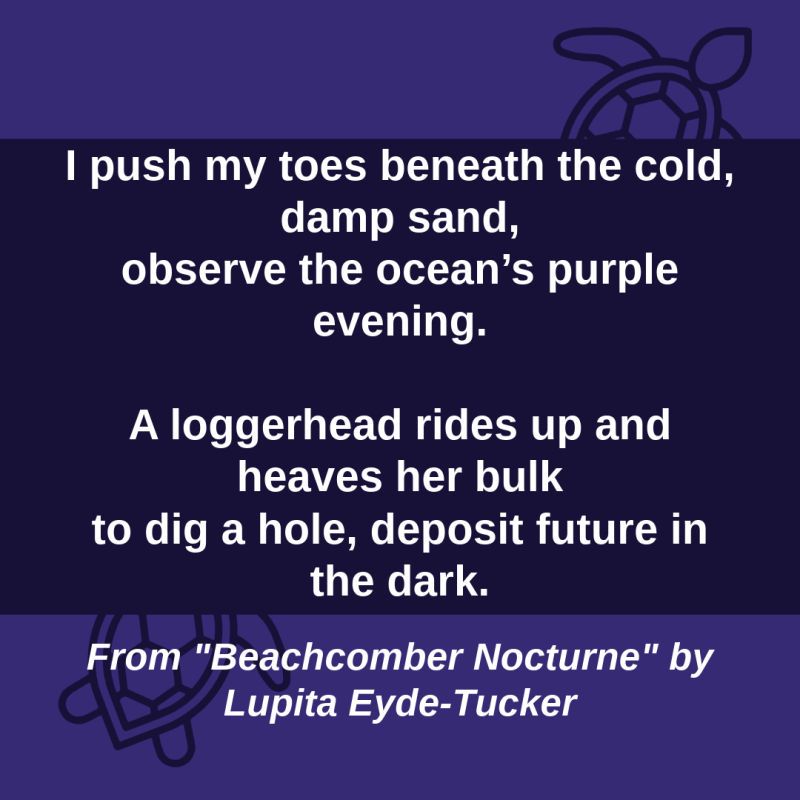 Text from Lupita Eyde-Tucker's poem, Beachcomber Nocturne, on a purple background with line drawing turtles.